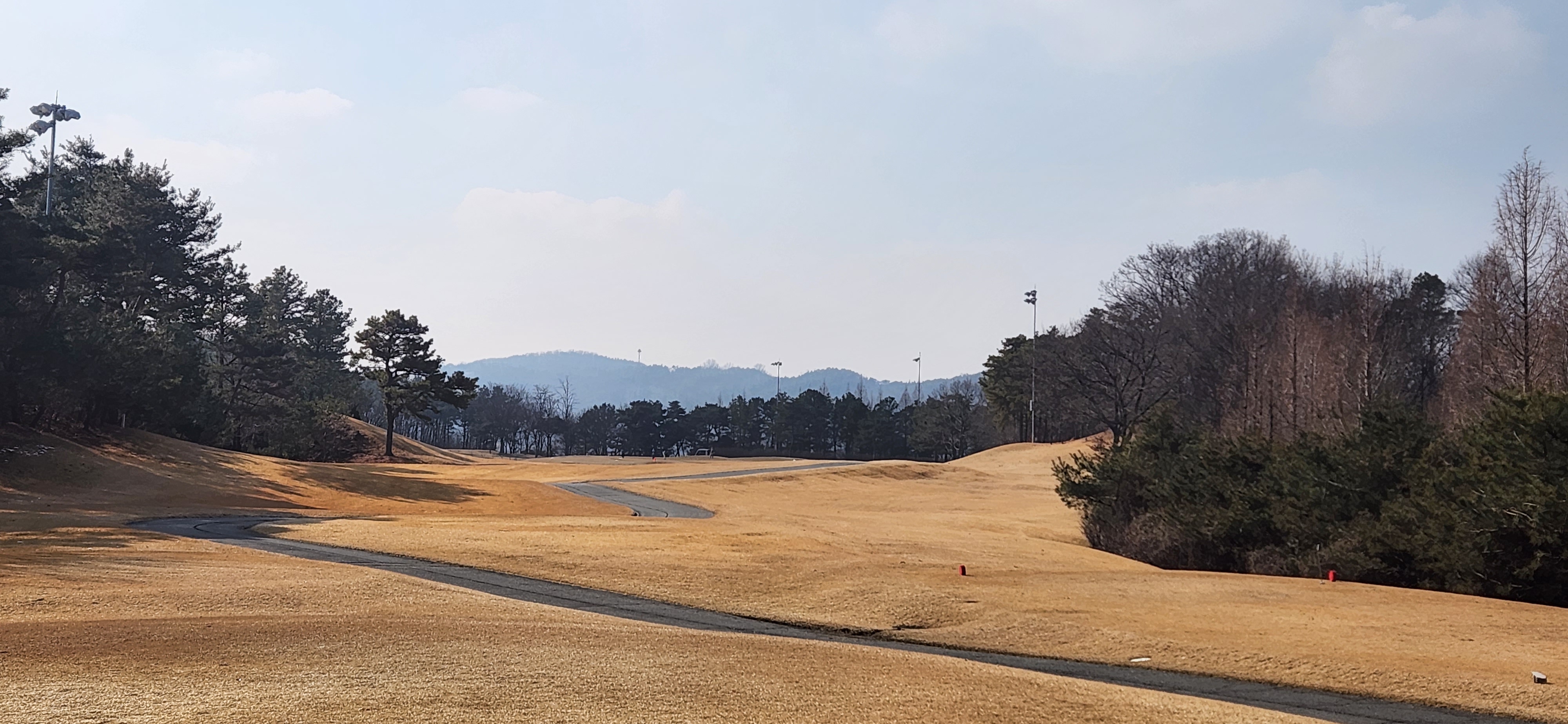 아리지cc