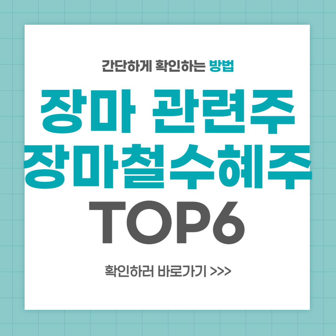 장마 관련주 장마철 수혜주 6종목