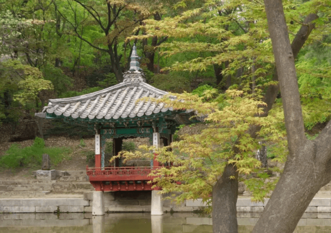 창덕궁 달빛기행 예매 입장료 [야간개장]