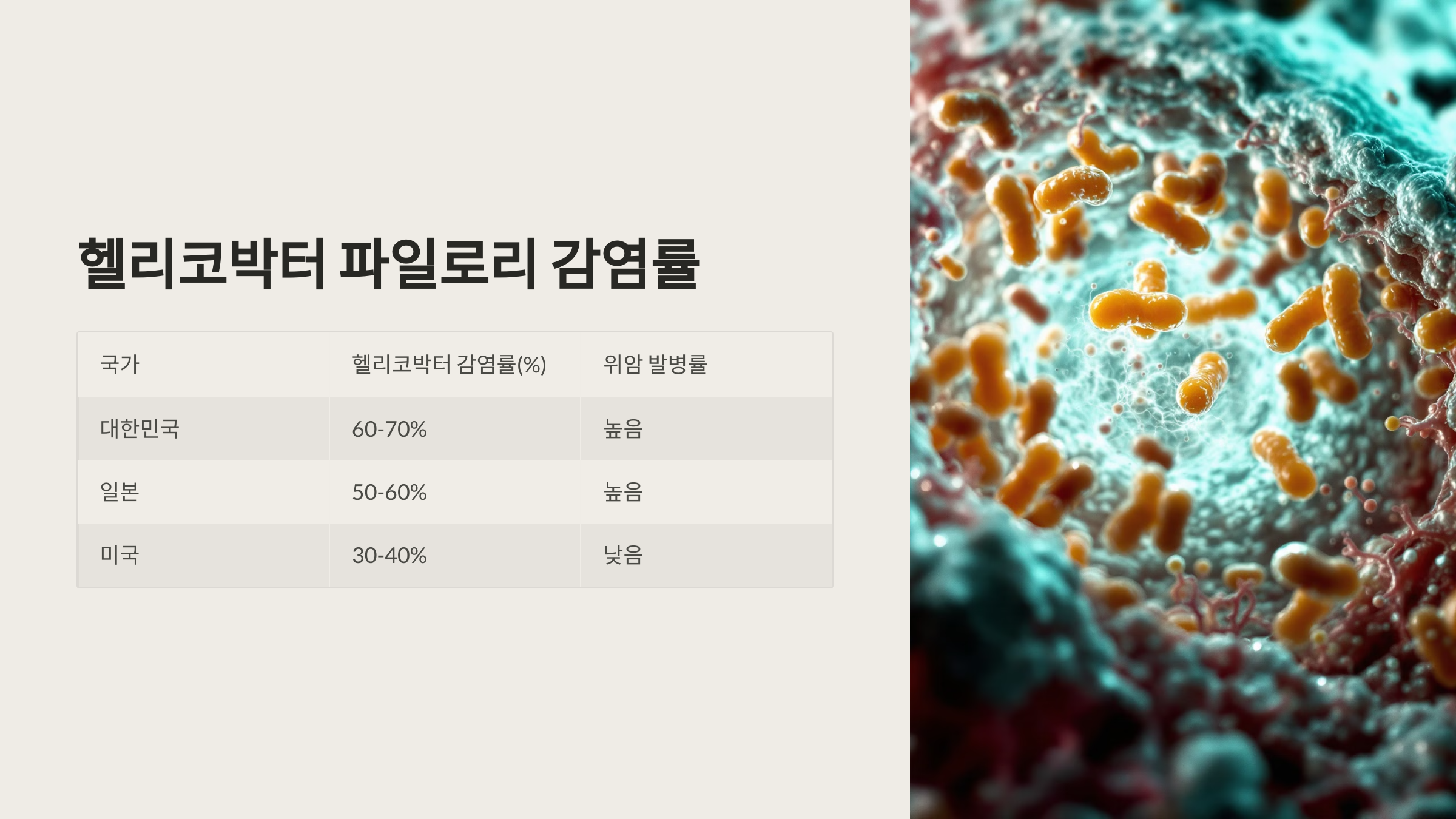 헬리코박터 파일로리 감염률
