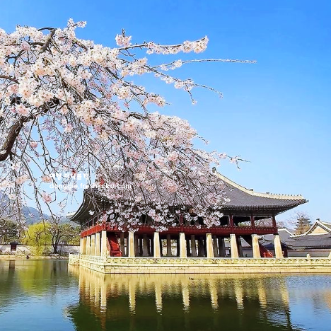 서울 가볼만한곳 베스트10