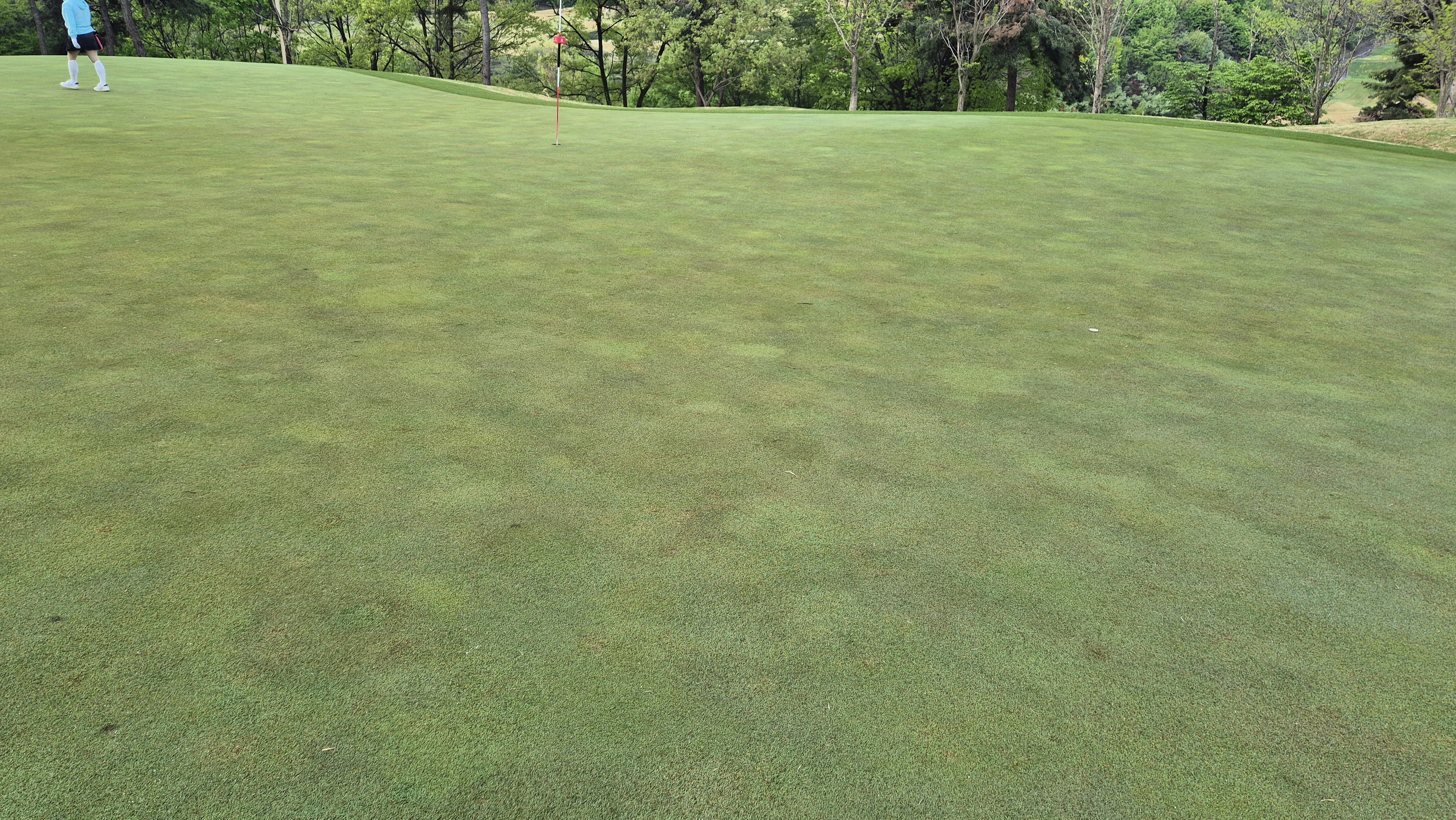 마에스트로cc 라운드 후기