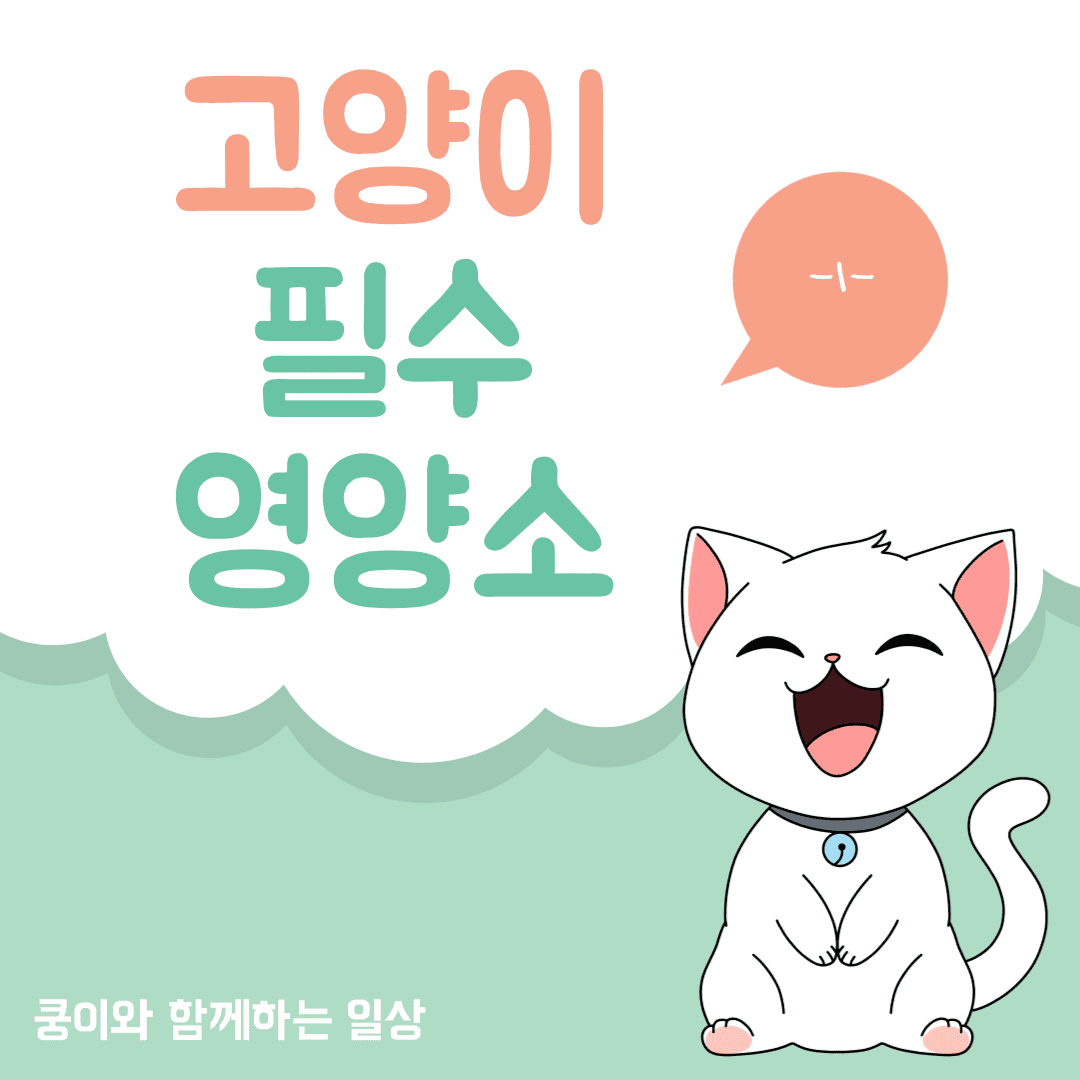 고양이 필수 영양소
