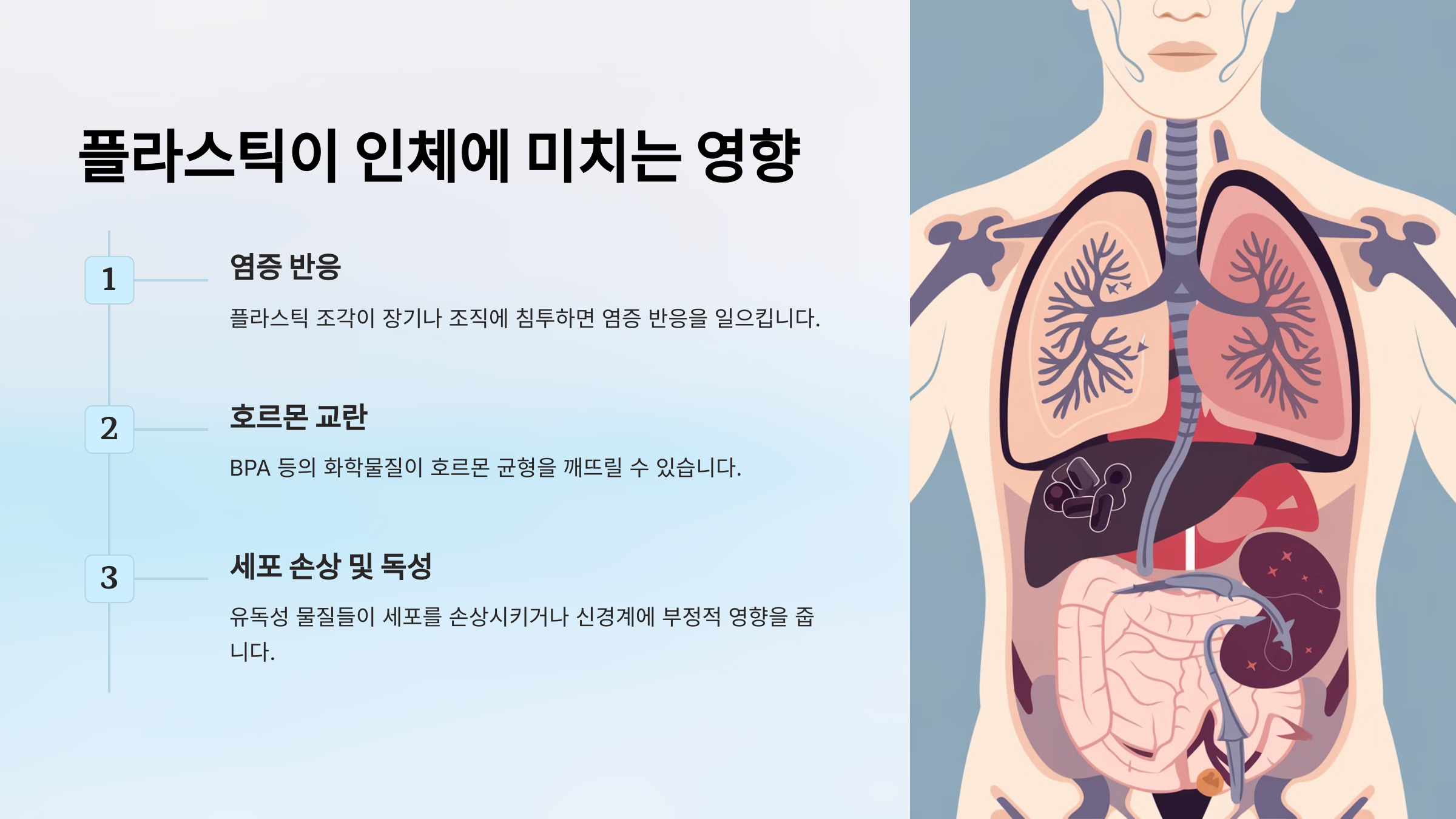 미세플라스틱이 인체에 미치는 영향을 소개한 PPT