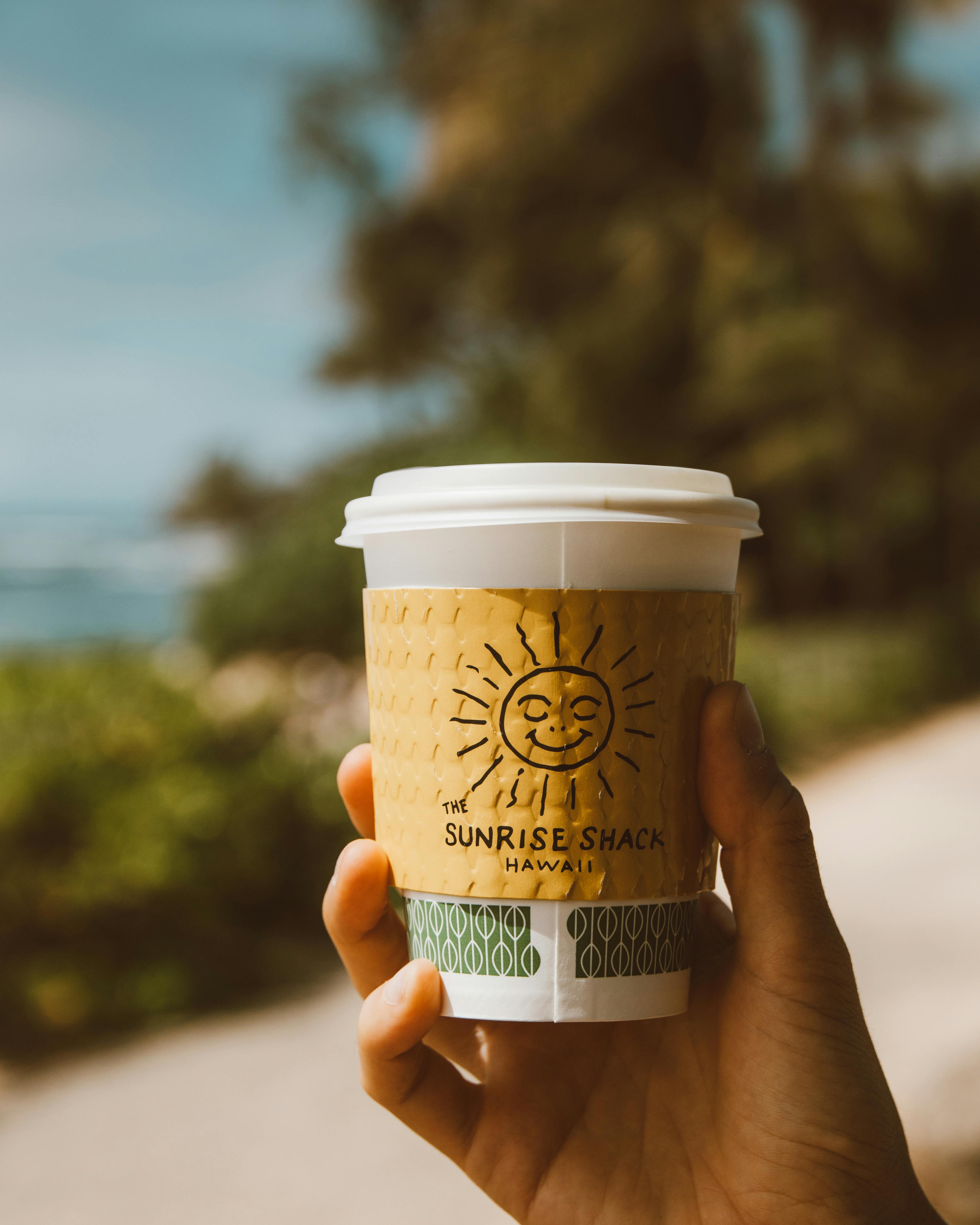 하와이 빅아일랜드 여행: 호놀룰루 공항 환승 및 꿀팁 완벽 가이드!