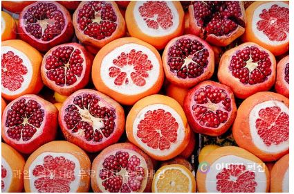 자몽 석류과일 사진