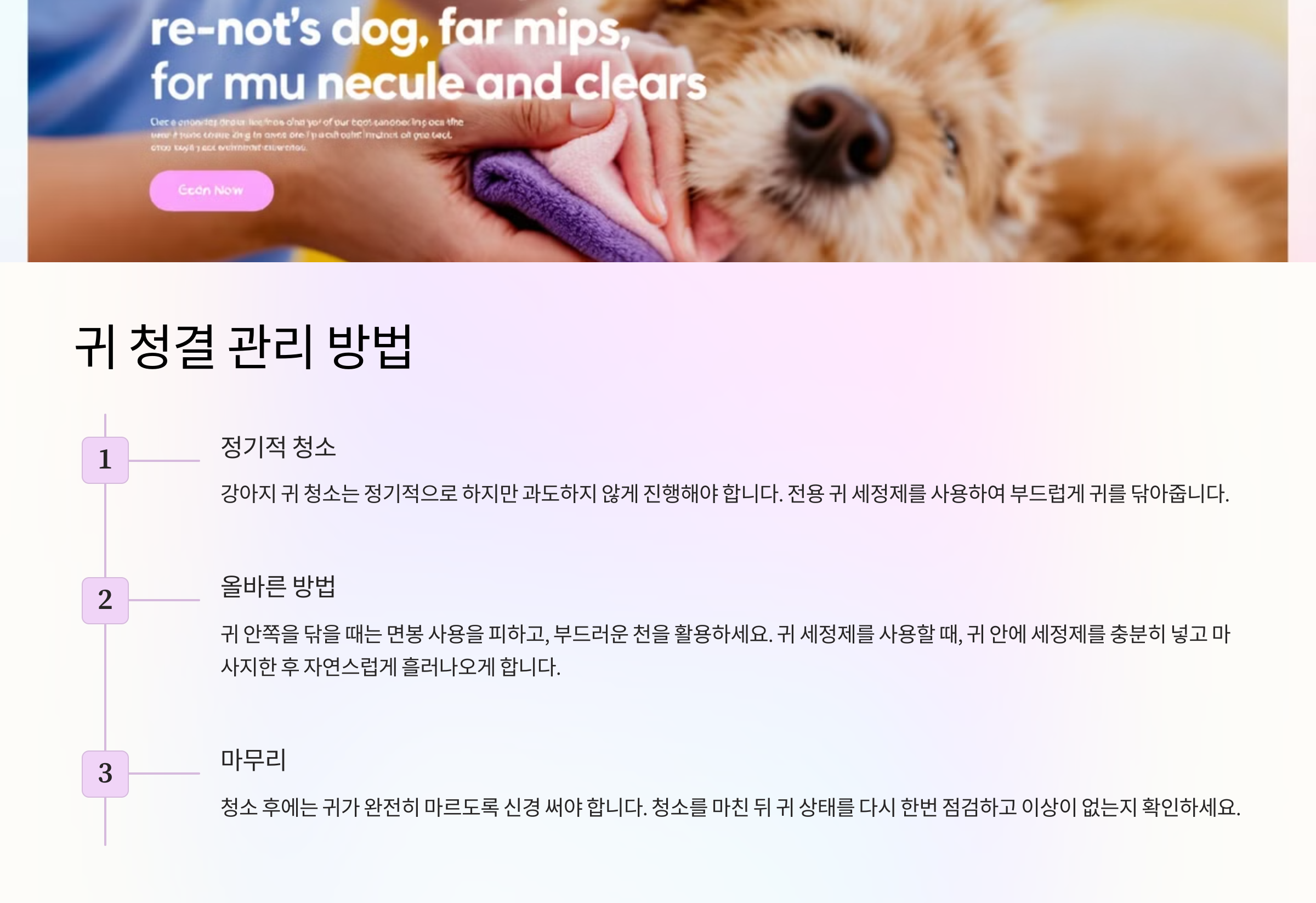 귀 청결 관리 방법