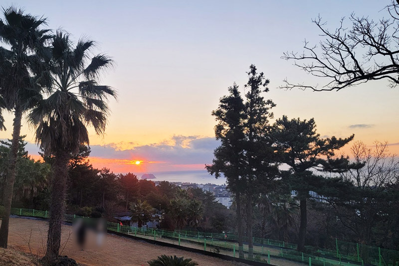 제주 서귀포시 강창학파크골프장 소개