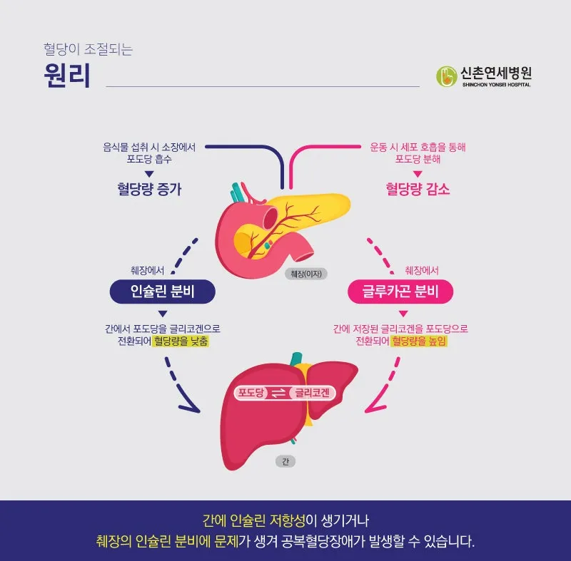 공복혈당 낮추는 방법에 대한 총정리 당뇨 건강관리_4