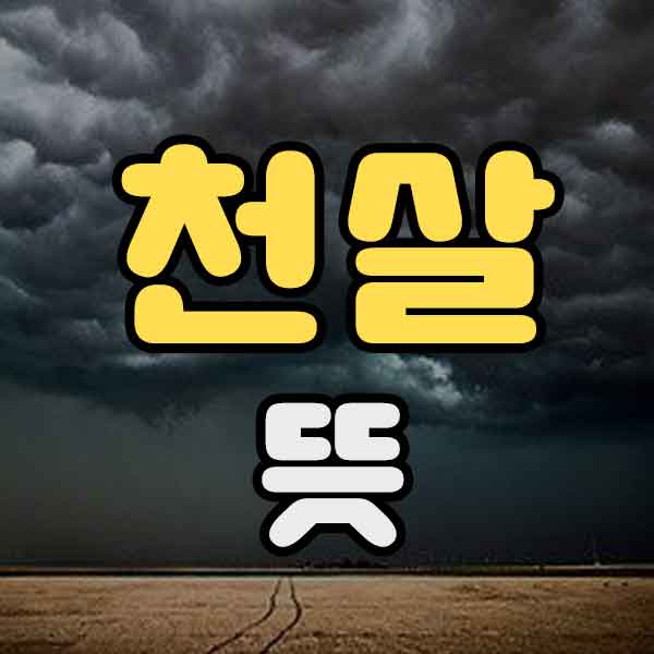 천살 뜻 - 썸네일