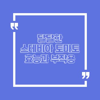 스테비아 토마토 효능