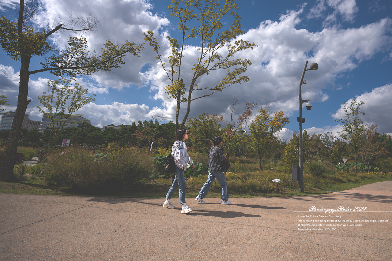 #서울 #식물원 #서울식물원 #꽃