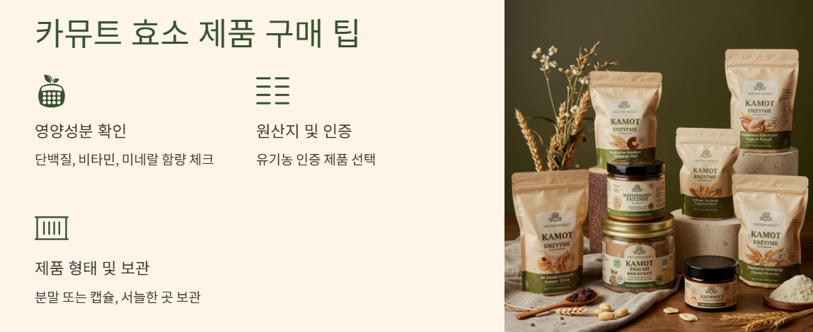 카뮤트 효소 제품 구매 시 팁