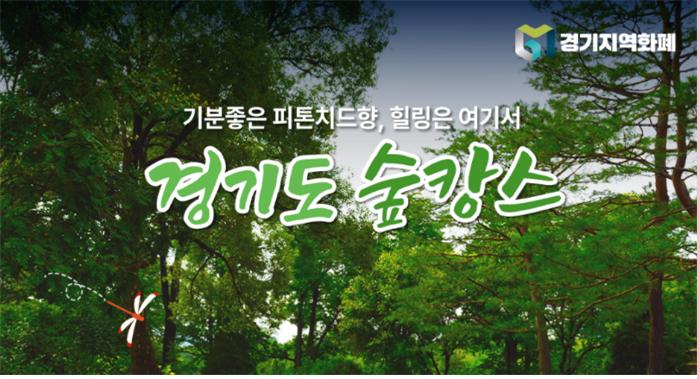 여름 더운 날씨에 가기 좋은 경기도 숲 [ BEST 3 ]