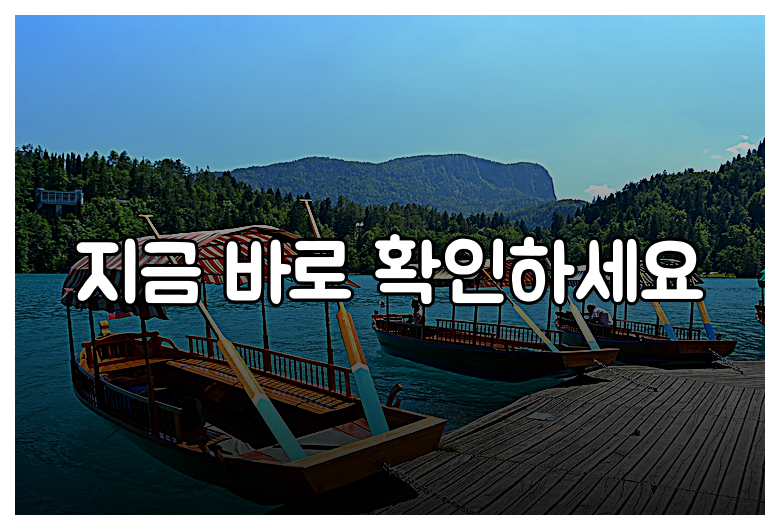 지금 바로 확인하세요