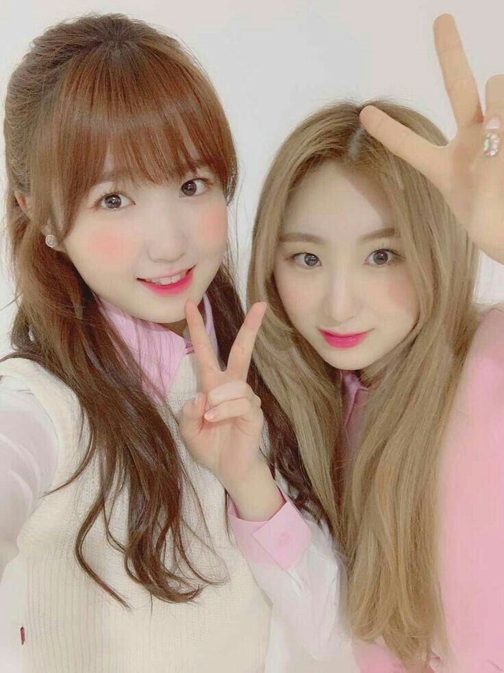 아이즈원 프로듀스48 사진 모음 아이즈원 프로듀스48 사진 모음