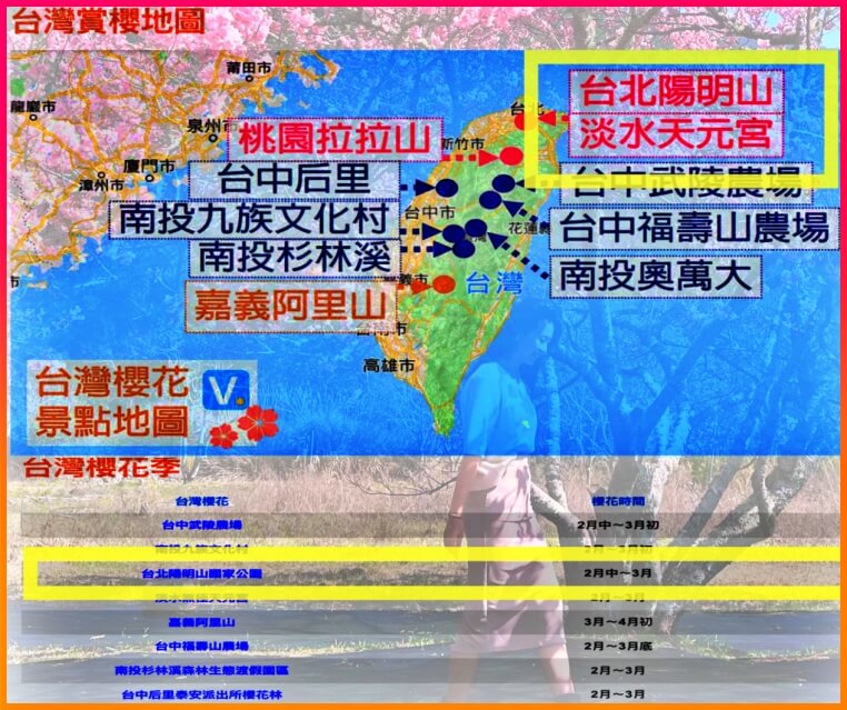 타이베이 벚꽃시기, 코스