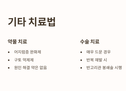 이석증 치료법 : 약물치료&#44; 수술치료