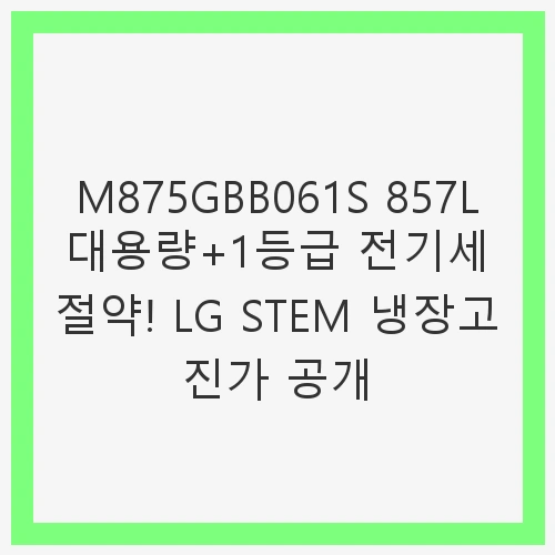 1. LG 디오스 오브제컬렉션 STEM 베이직 냉장고 857L 1등급