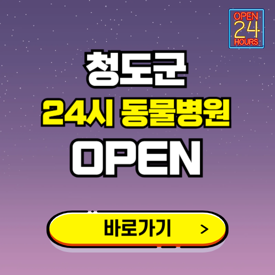 청도군 24시 동물병원 진료하는 곳 ❘ 설날 휴일 야간 심야 문여는곳 찾기 ❘ 응급진료