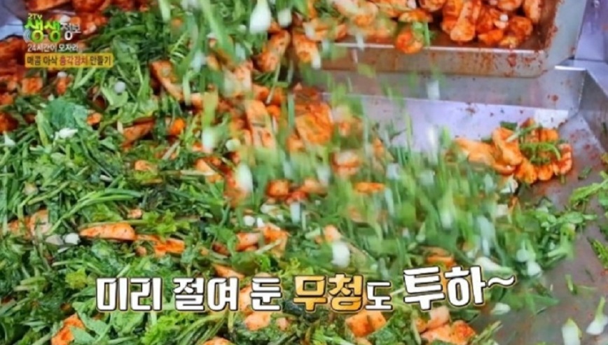 극한직업-여름김치-파주-도미솔김치