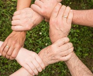 입양 조건 절차 확인하기
