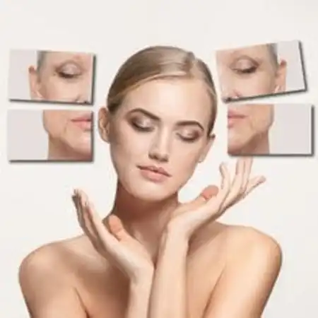 먹는 히알루론산 영양제 효과&amp;#44; 부작용&amp;#44; 선택 방법