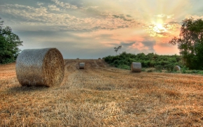 보건증_인터넷_발급방법_2