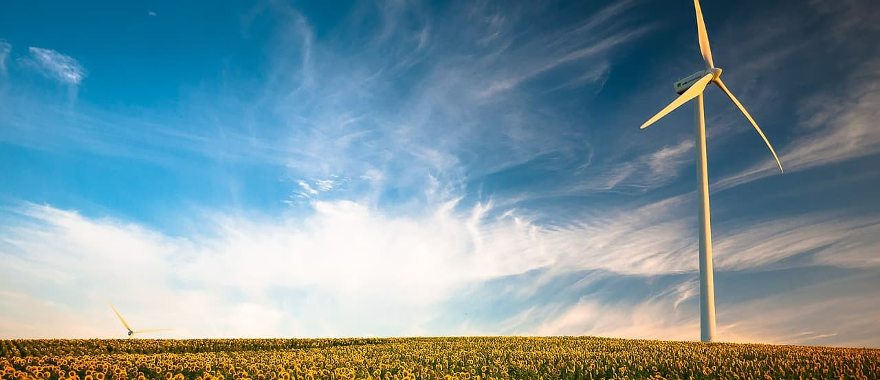 창밖 풍경이 과학 수업이 되는 순간들