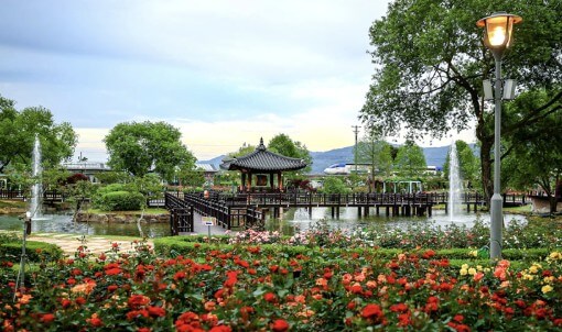 곡성 세계장미축제