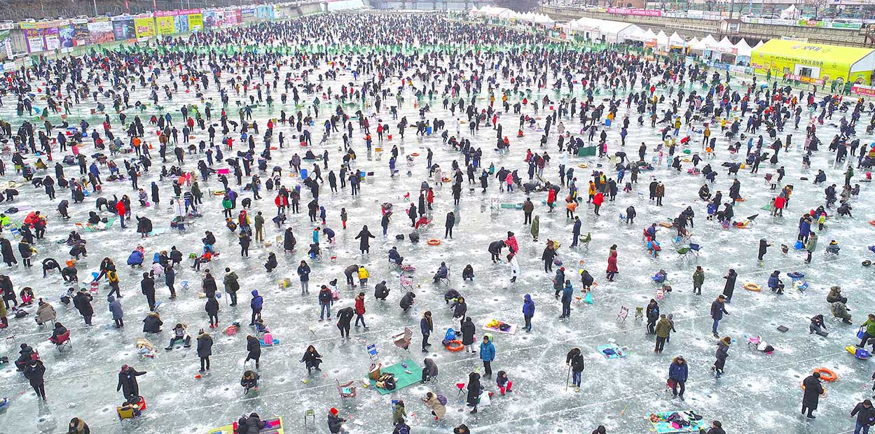 강원 화천 산천어축제 관련 이미지