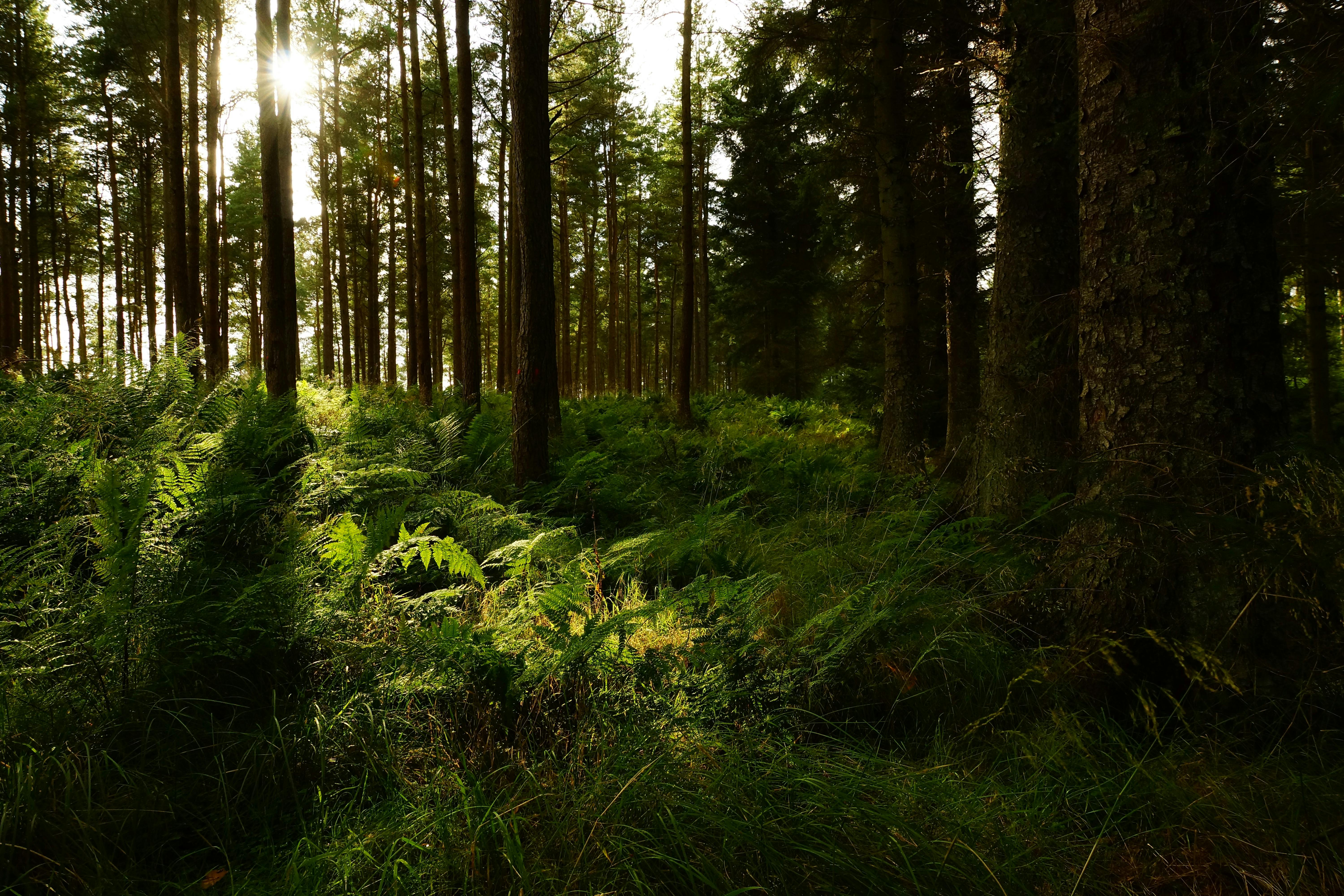 2025년 8월 14일 띠별 운세 - 내일의 길흉과 조언 (쥐띠&amp;#44; 소띠&amp;#44; 범띠&amp;#44; 토끼띠)