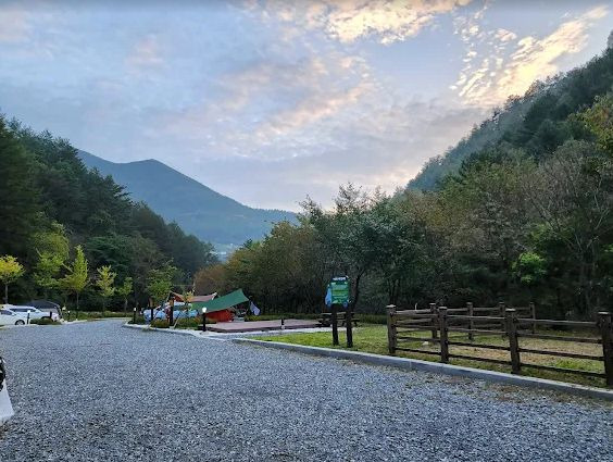 태백고원자연휴양림