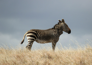2025년 7월 말띠(생년별) 운세