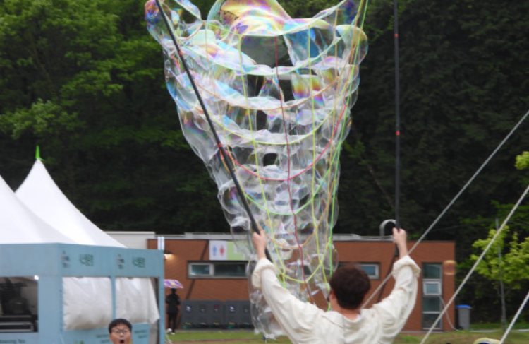 보성 다향대축제