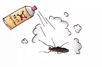 러브버그 출몰시기 및 퇴치방법