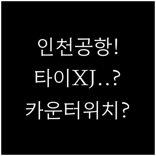 인천공항 타이에어아시아엑스 XJ편 터..