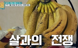 살과의전쟁