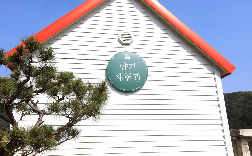 포천허브아일랜드핑크뮬리축제