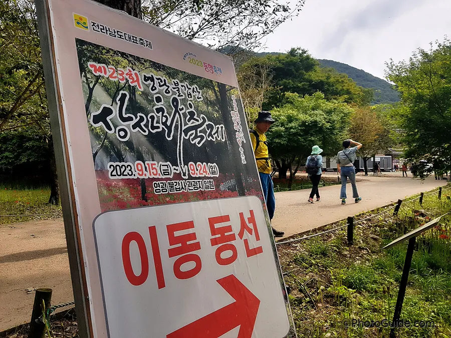 영광-불갑사-상사화-축제