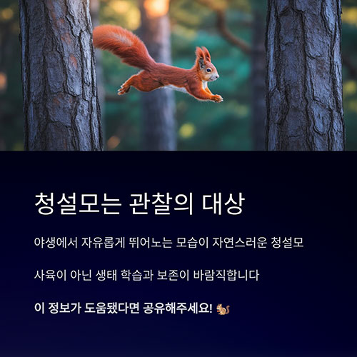 관찰의 대상, 사육의 대상이 아닙니다