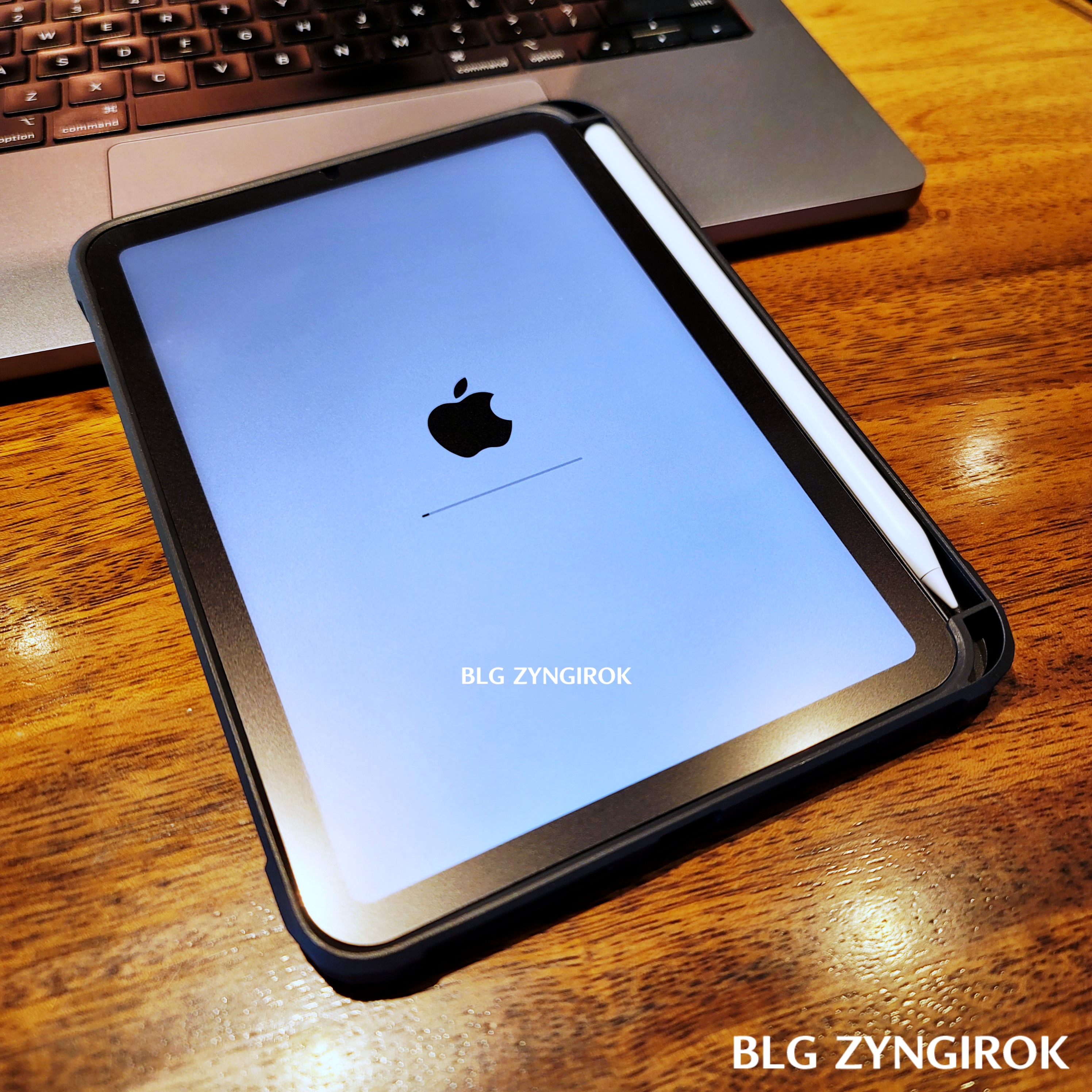 아이패드 미니가 구동중인 모습이다.