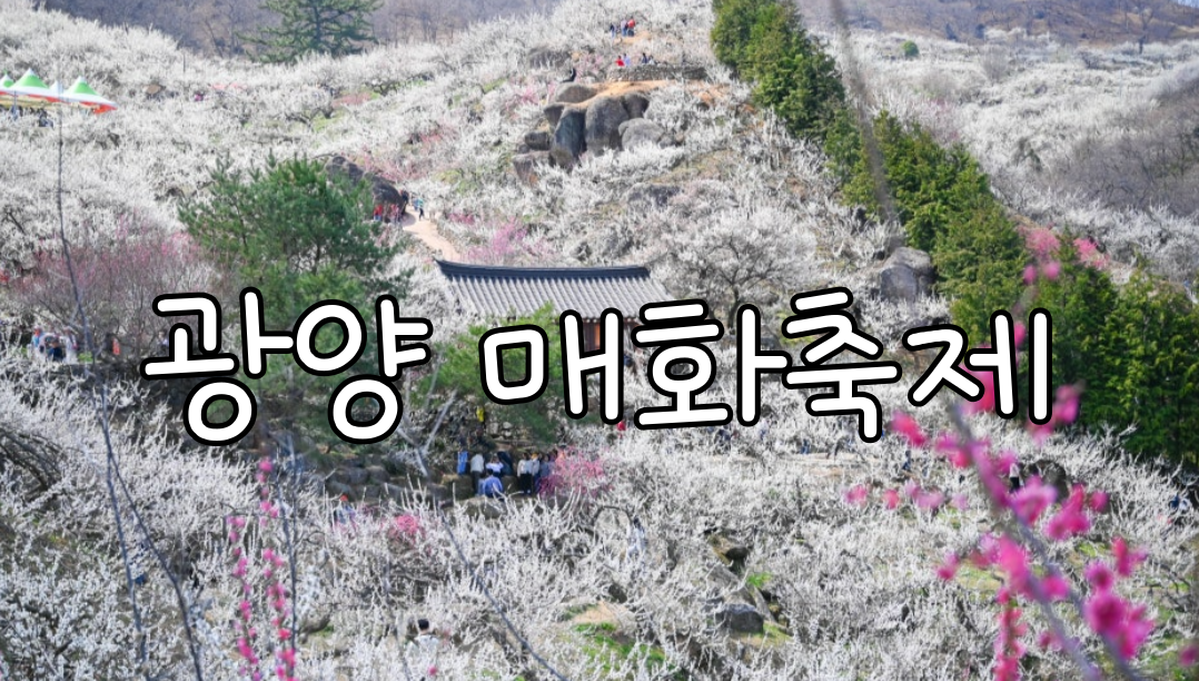 광양 매화축제