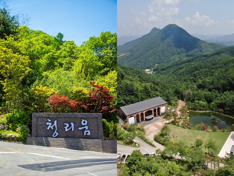 청리움 예약