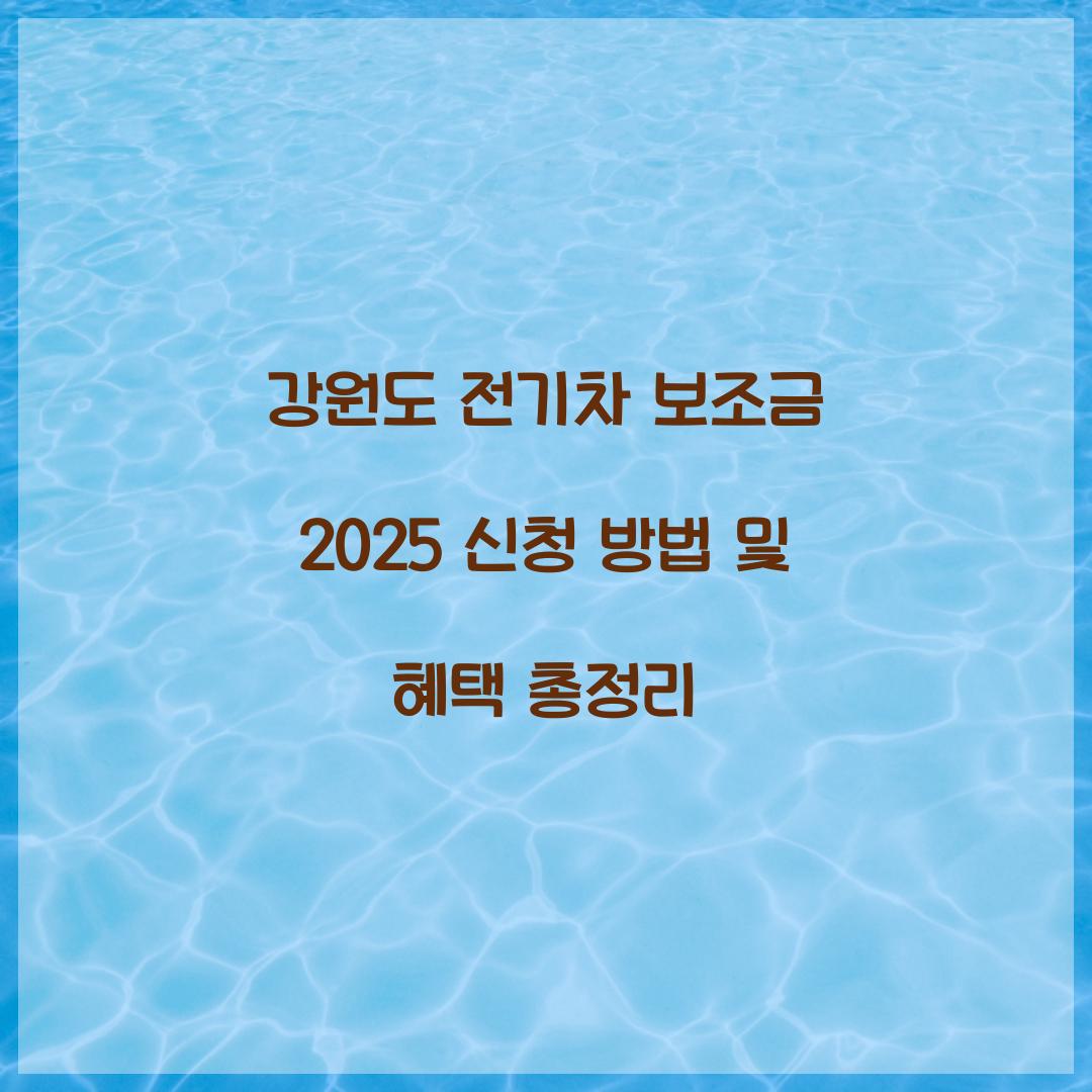 강원도 전기차 보조금