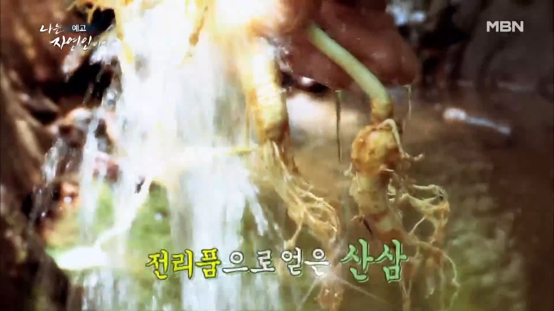 이승윤 윤택 나는 자연인이다 515회 울화로 가득찼던 지난날의 자신과 화해하며 사는 산골 자연인 박세귀 소개 및 출연 다시보기