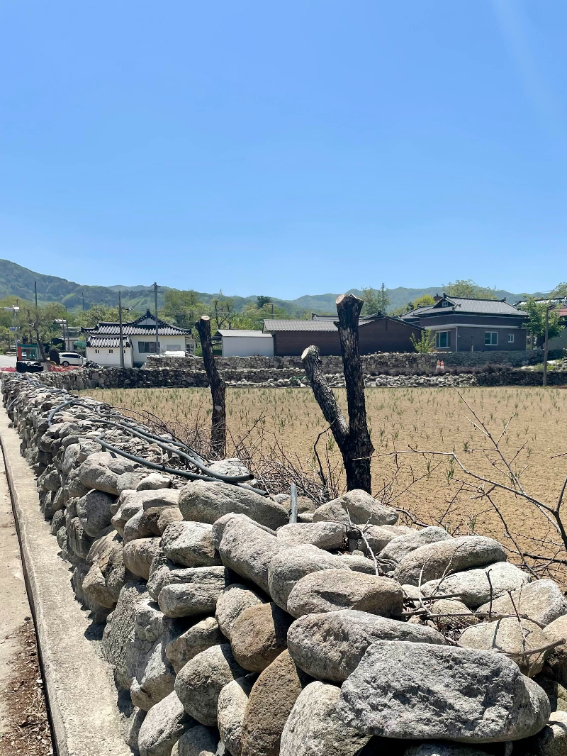 군위한밤마을 돌담길