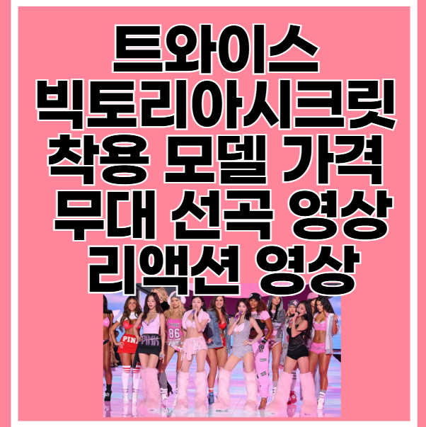 트와이스-빅토리아시크릿-착용-모델-가격-무대-선곡-리액션-영상