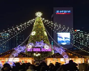 서울 빛 초롱 축제, 광화문광장 마켓_3
