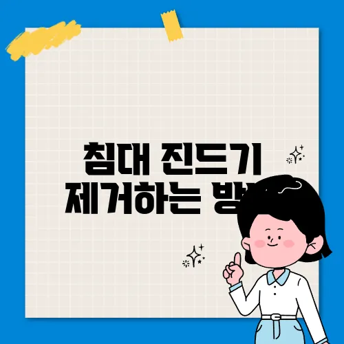침대 진드기 제거하는 방법